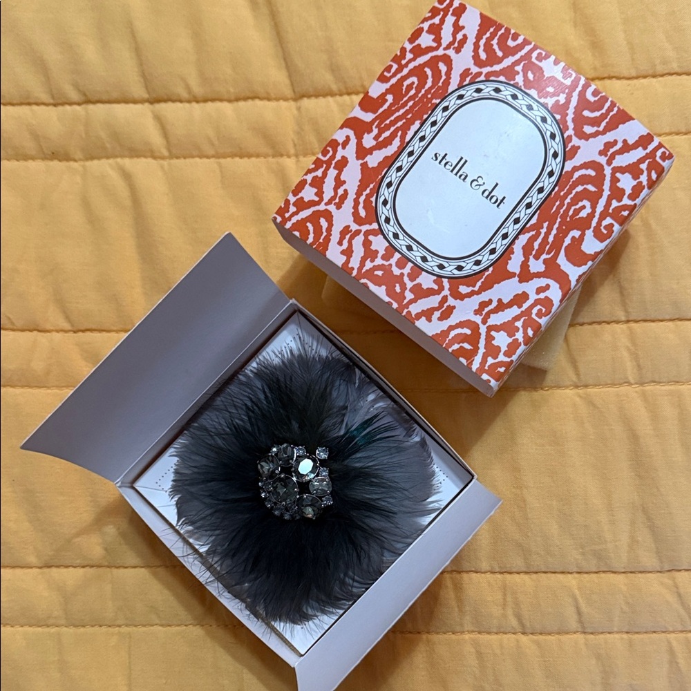 Stella & Dot Black Feather Pin
